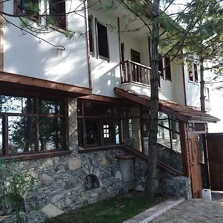Yesilcam Konak *