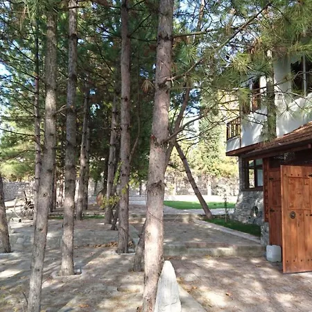 Otel Yesilcam Konak *
