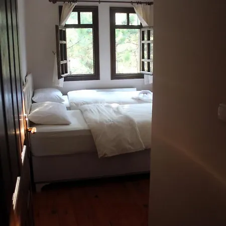 Otel Yesilcam Konak *